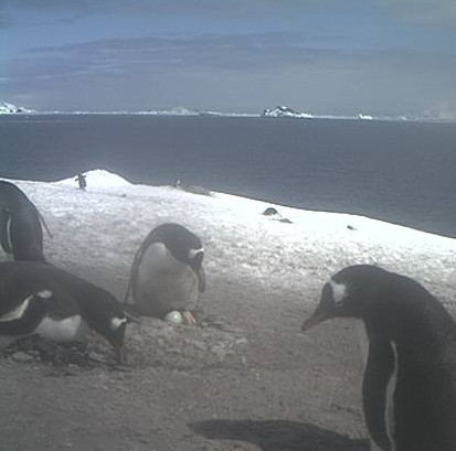 2012-11-28_165111.jpg