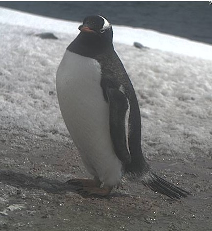 2012-11-28_182712.jpg