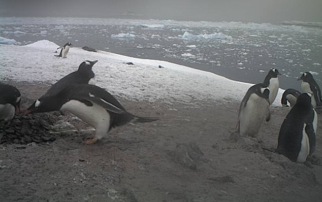 2012-11-29_175117.jpg