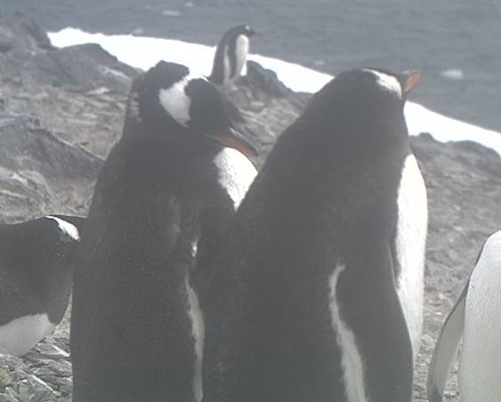 2013-01-09_183738.jpg