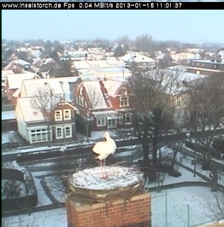2013-01-15_100655.jpg