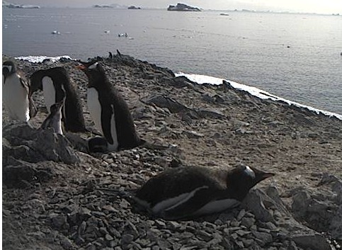 2013-01-16_203548.jpg