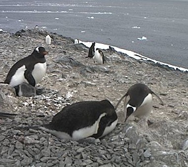 2013-01-17_173407.jpg
