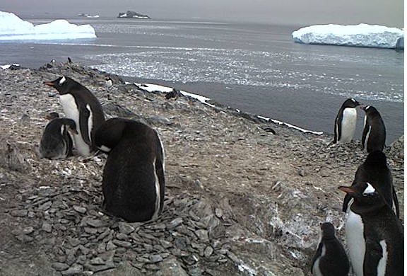 2013-01-22_170639.jpg