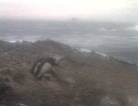 2013-01-25_075140.jpg