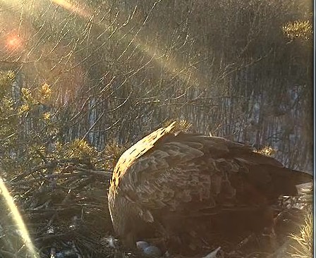 2013-03-16_164401.jpg