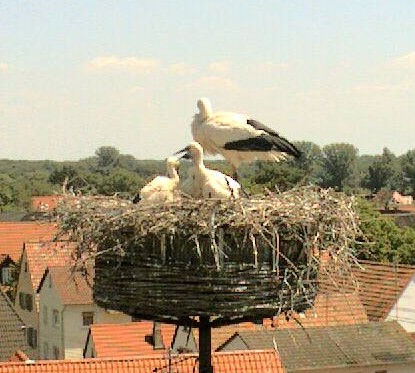 bornheimtemplom1.jpg