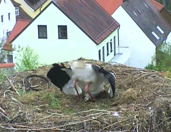 2013-05-02_194047.jpg