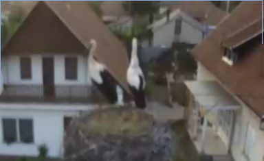 Képernyőkép-7.png