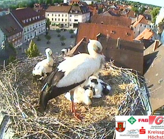 höchstadt1.jpg