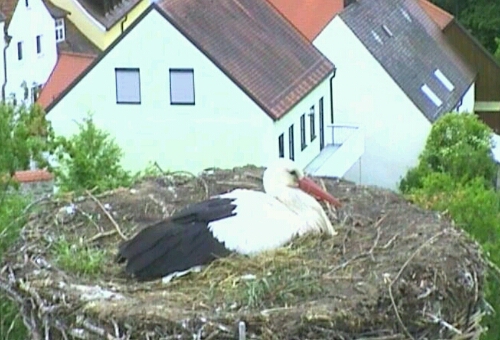 rps20130530_145559.jpg