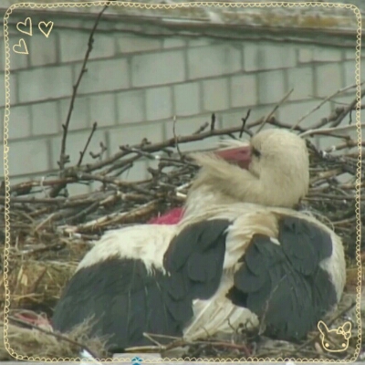 rps20130530_165130.jpg