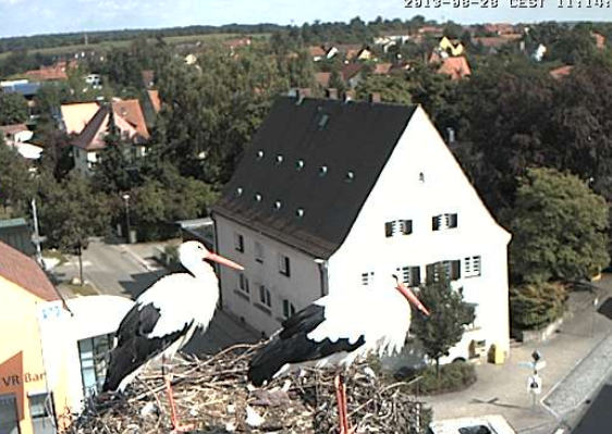 Képernyőkép-6.png