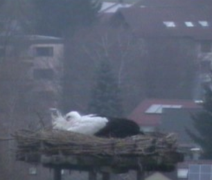 Képernyőkép-2.png
