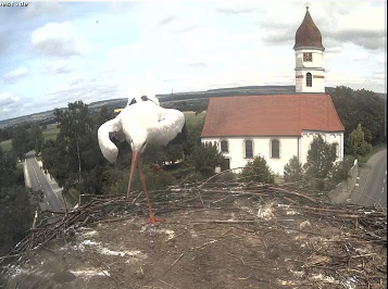 Képernyőkép-14.png