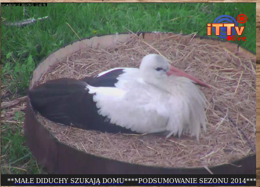 Képernyőkép-2.png