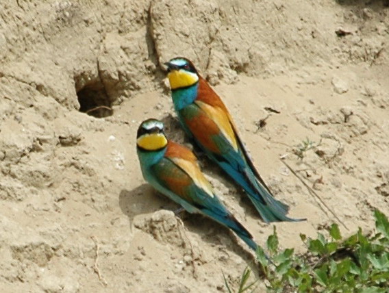 2009.06.2 104.jpg