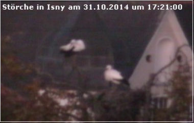 Képernyőkép-9.png