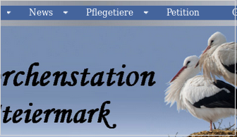 Képernyőkép-9.png
