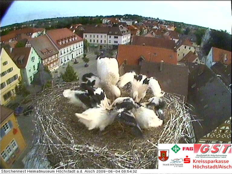 höch.jpg