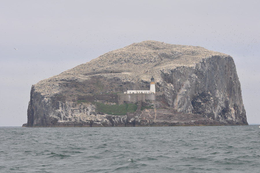 Seabird senter 1.jpg