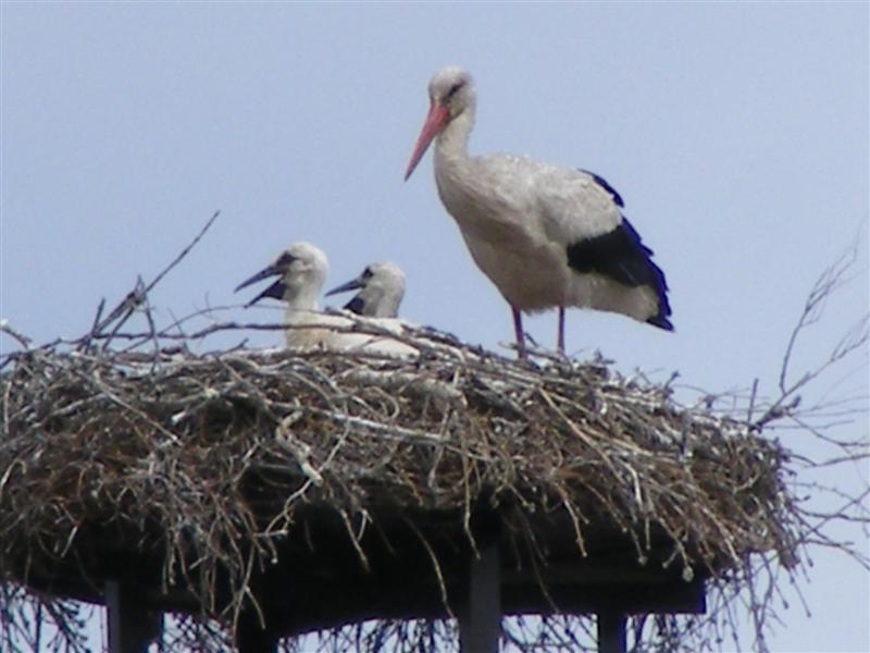 DSCF5639 (Medium).JPG