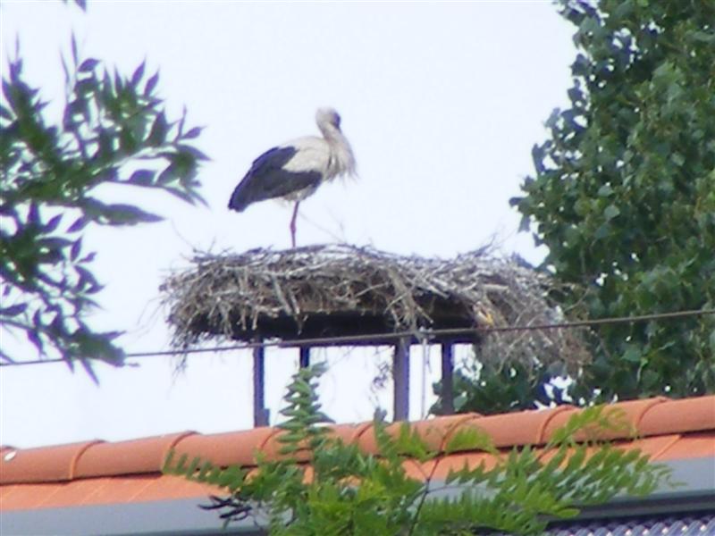 DSCF5594 (Medium).JPG