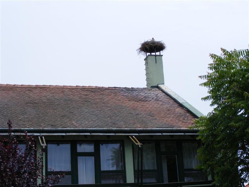 DSCF5642 (Medium).JPG