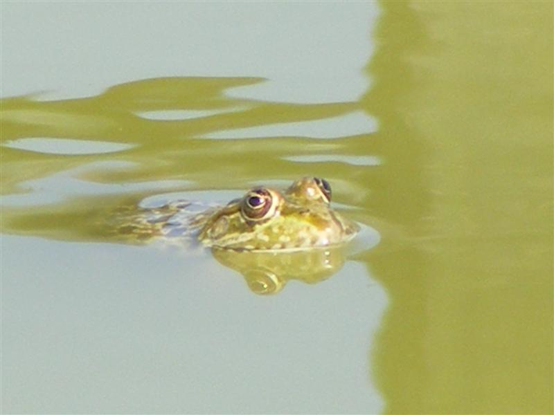 DSCF5581 (Medium).JPG