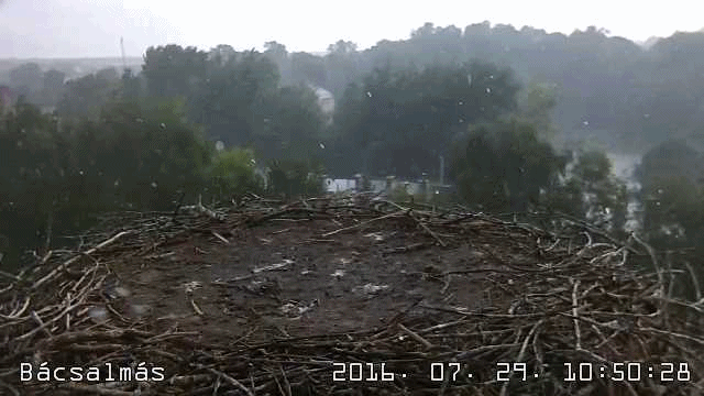 anigif.gif