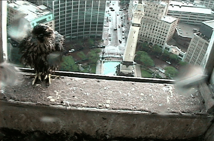 2009-06-06_191805.gif