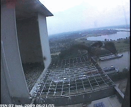 2009-06-07_062238.gif