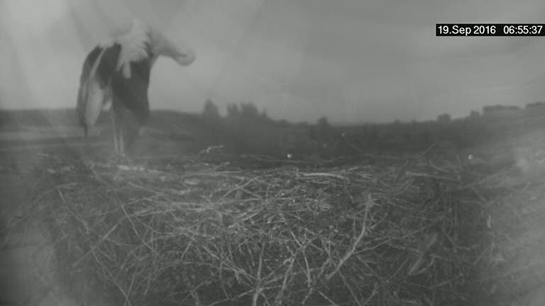 2016.09.19_06-53-53.jpg