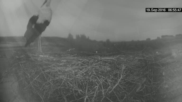 2016.09.19_06-54-01.jpg