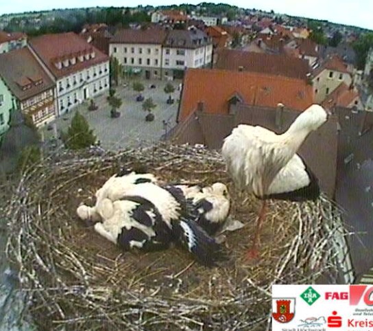 höchstadt1.jpg