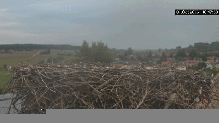anigif.gif