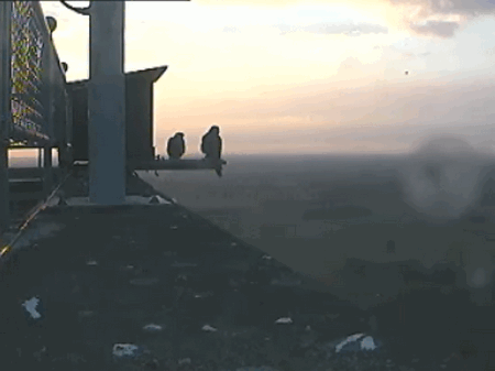 2009-06-07_212152.gif