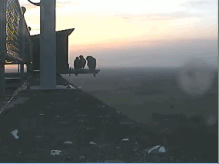 2009-06-07_212923.gif