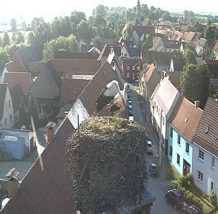 2009-06-08_070714.jpg