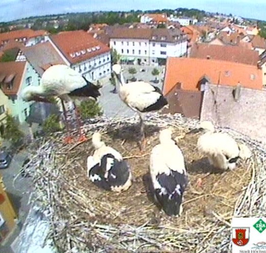 höchstadt1.jpg