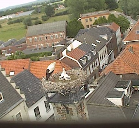 Gennep1.jpg