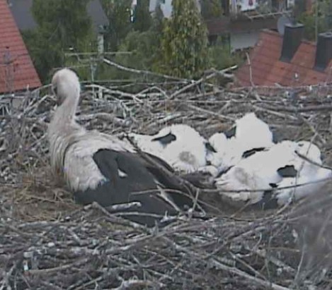 markt schwaben1.jpg