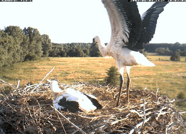 2009-06-09_214613.gif