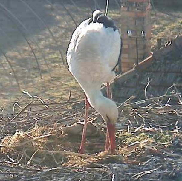 Mindenféle04886.jpg
