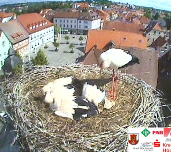 höchstadt1.jpg