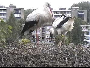 beleef de lente1.jpg
