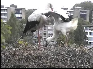 beleef de lente2.jpg