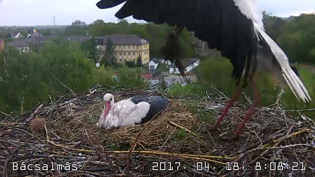 2017.04.18_08-07-56.jpg