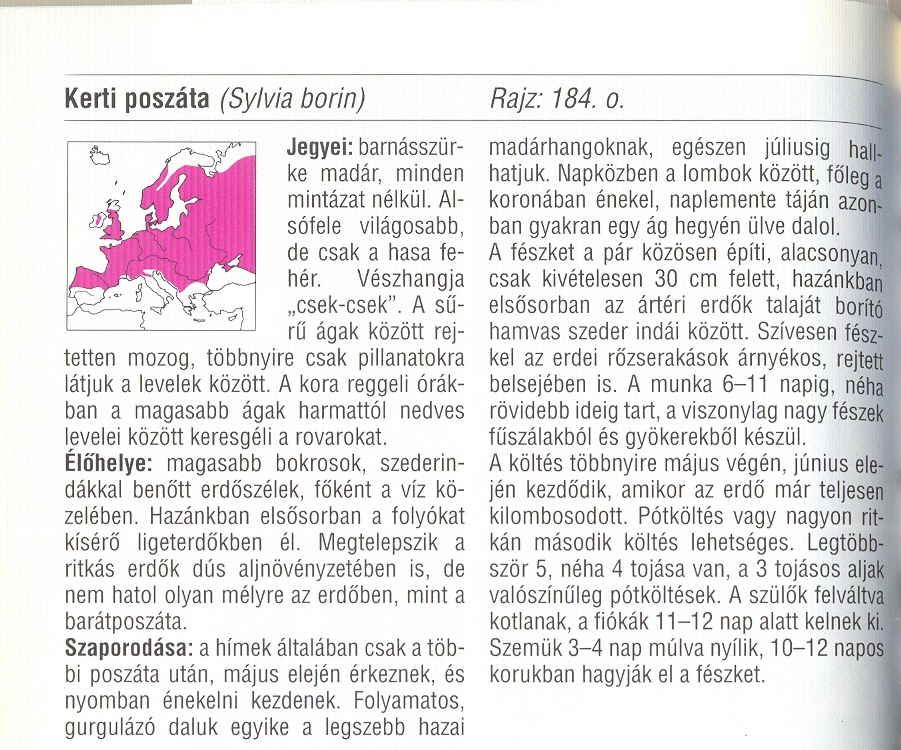 Kerti poszáta ism.jpg