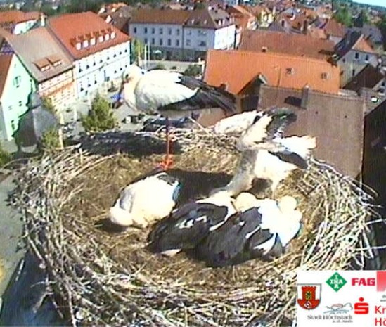 höchstadt2.jpg